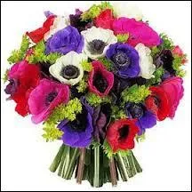 Pour cette derni&egrave;re question, je vous offre un bouquet ...