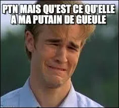 Qui a fait une reprise de ''Ma gueule'' de Johnny Hallyday ?