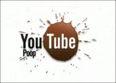 Parmi les propositions suivantes, quelles sont celles qui désignent des "YouTube Pooper" ?