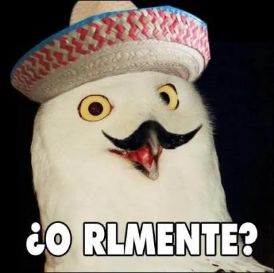 Lequel de ces mots est souvent exploité dans les YouTube Poop ?