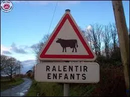 Après toutes ces émotions, vous décidez d'aller vous promener à la campagne... Une question pratique vous vient à l'esprit : en cas d'accident, qu'est-ce qui risque de faire le plus de dégâts à votre véhicule ?