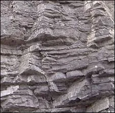 Solutré est le nom de famille, quel est le prénom que l'on va lui attribuer ?
Regardez l'illustration.