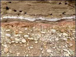 Jura est le nom de famille, quel serait son prénom, lié à la nature des roches le formant ?
Agrandissez l'illustration.