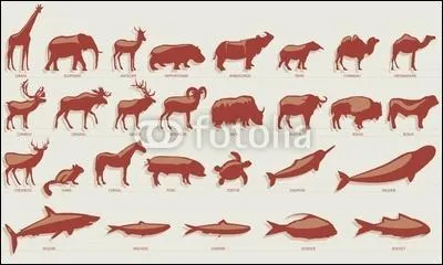 Regardez bien l'image, quelle réponse est la bonne ?