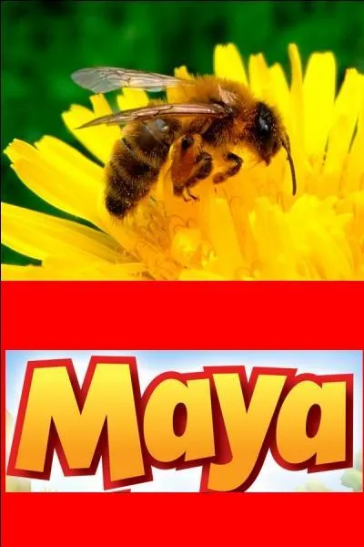 L'histoire de "Maya l'abeille" est une série de dessins animés de 1975.