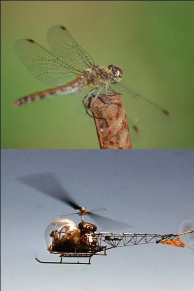 Cet hélicoptère porte le nom de "libellule".