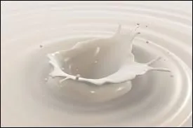 L'être humain peut produire du lait.