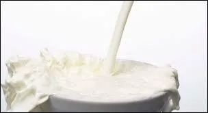 Le lait de vache contient énormément d'eau.