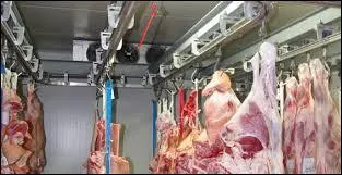 Quelle est la température interne maintenue de façon permanente pour conserver, durant l'entreposage, les viandes fraîches destinées aux échanges intracommunautaires ?