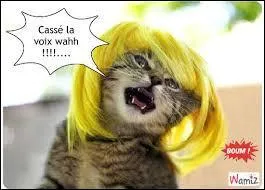 Lequel de ces chanteurs a chanté "Casser la voix" ?