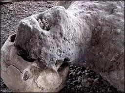 On redécouvre Pompéi lors du XVIIe siècle.