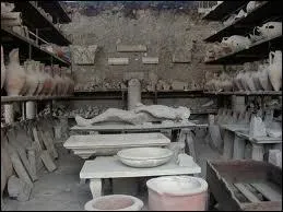 La culture de la vigne était permise par la grande fertilité du sol à Pompéi.