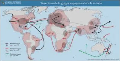 L'épidémie se transforme rapidement en pandémie en affectant la population du monde entier. Quel a été le pourcentage de la population mondiale atteinte par le virus ?