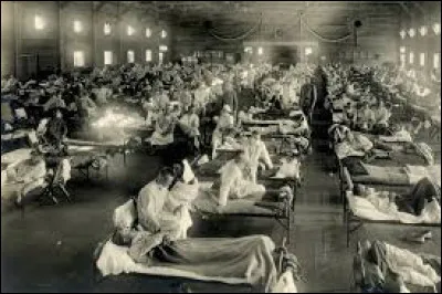 En comparaison avec le nombre de morts de la Première guerre mondiale, on peut dire que la grippe espagnole a fait :