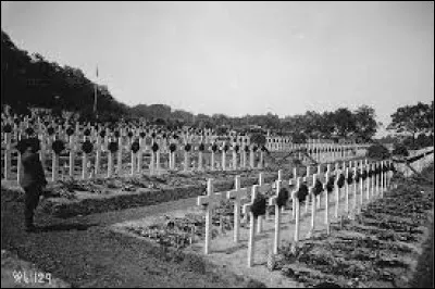 Selon les dernières estimations de l'institut Pasteur, combien de personnes seraient mortes de la grippe espagnole ?