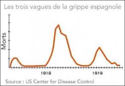 Si dans un premier temps le virus fit relativement peu de victimes, une forme mutante de très haute contagiosité et létalité apparut quelques mois après. Comment l'épidémie s'est-elle propagée de son pays d'origine à toute l'Europe ?