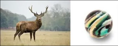 Essayez de trouver le pays !