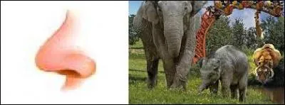 Le drapeau de ce pays est l'un des seuls drapeaux qui ne soient pas rectangulaires. Quelle est la bonne r&eacute;ponse ?