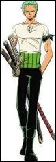 Qui est Zoro ?