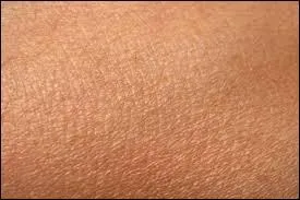 Allez-vous réussir à reconnaître cette ville ?