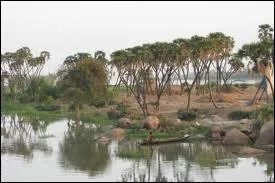 Quelle est la capitale du Niger ?