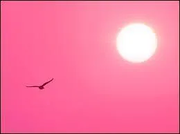 Complétez les paroles : "Il est entré dans mon coeur...