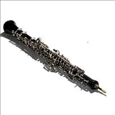 Dans le conte musical pour enfants "Pierre et le Loup" de Sergueï Prokofiev, quel personnage du conte le hautbois incarne-t-il ?