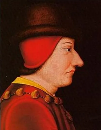 Quel est le nom de ce roi de France ?