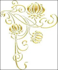 Lichen des côtes rocheuses de la Méditerranée, dont on extrait une teinture pourpre :