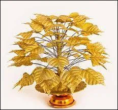 Appareillage qui soutient une fonction locomotrice déficiente (attelle, corset, plâtre, etc.) :