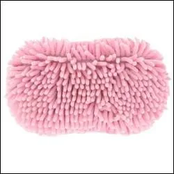 Quelle est cette brosse ?