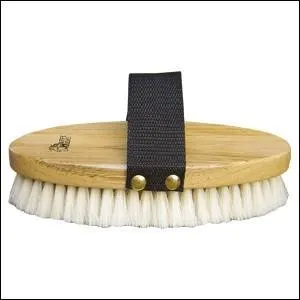 Quelle est cette brosse ?