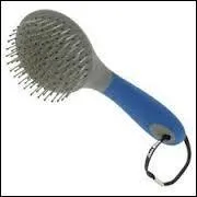 Quelle est cette brosse ?
