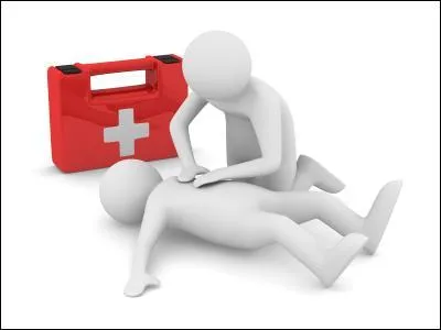 "Il est faux de dire qu'il n'a pas quelques subsides pour agrémenter son existence". Que dépeint le mot "subside" ?