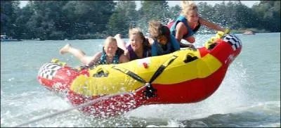 "Pour des greffes particulièrement délicates, le jardinier accordait à la salive humaine un pouvoir roboratif". Quel est le sens de "roboratif" ?