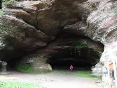 "Elle prit le petit corps tremblant dans ses mains réunies en conque". Que décrit le mot "conque" ?