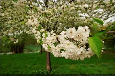 En France, sur le calendrier, le printemps commence le 20 ou 21 mars, soit...