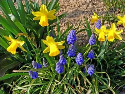 Quelle était sa position dans le calendrier dit romuléen, attribué à Romulus, cofondateur et premier des rois de Rome ?