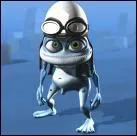 Comment se nomme cette grenouille ?