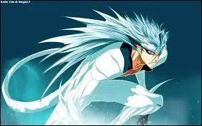 Quel est le num&eacute;ro de cet Arrancar ?