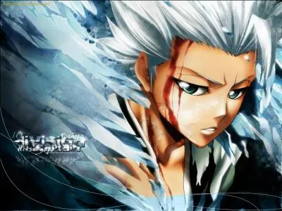 Comment s'appelle le sabre de Toshiro ?