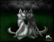 De quel Clan font partie leurs petits (la majeure partie du temps)