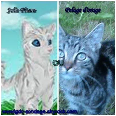 Comment s'appellent-ils ?