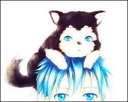Comment s'appelle le chien trouvé par Kuroko ?