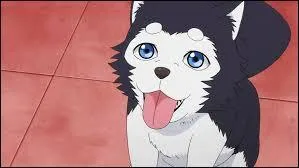 Pourquoi l'a-t-on appelé comme ça ?