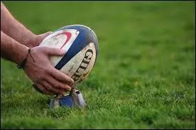 Le rugby est le sport principal du Brésil.