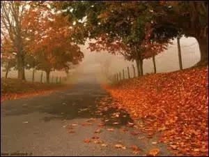 Brume du 4 novembre annonce :