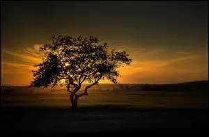 En décembre, quand le jour croît, aussi fait le froid. Mais à quelle date le jour recommence-t-il à croître ?