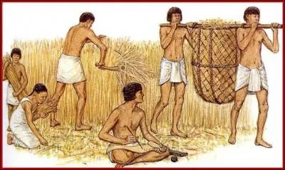 Un homme dans la société paysanne à une espérance de vie de :