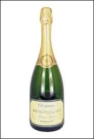 Au Moyen &Acirc;ge, la verrerie de Murano produisait le plus de bouteilles dans le monde.